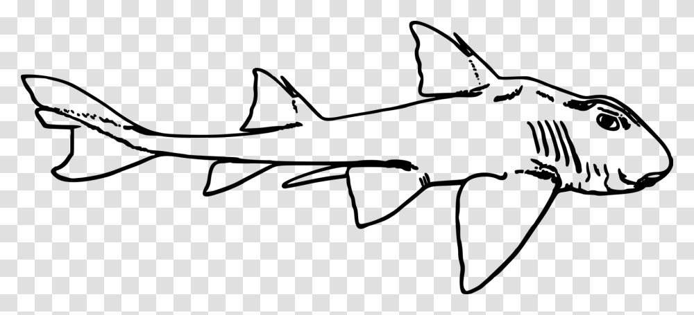 Line Port Jackson Shark Sketch, Gray, World Of Warcraft Transparent Png
