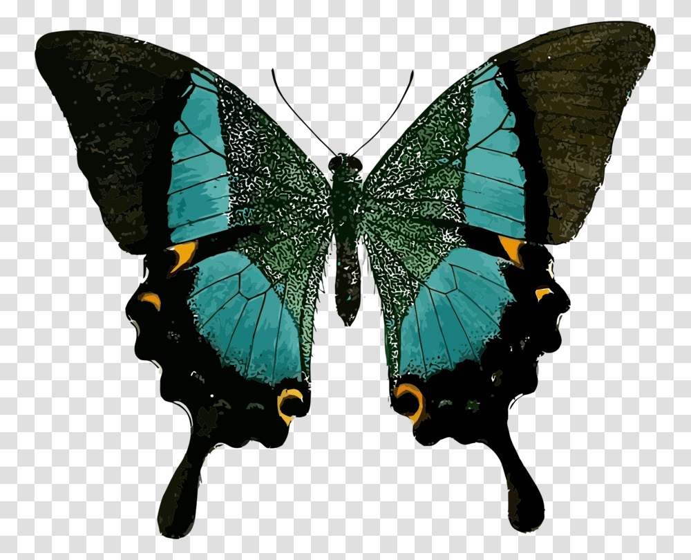 Line Symmetry In Real Life, Insect, Invertebrate, Animal, Butterfly Transparent Png