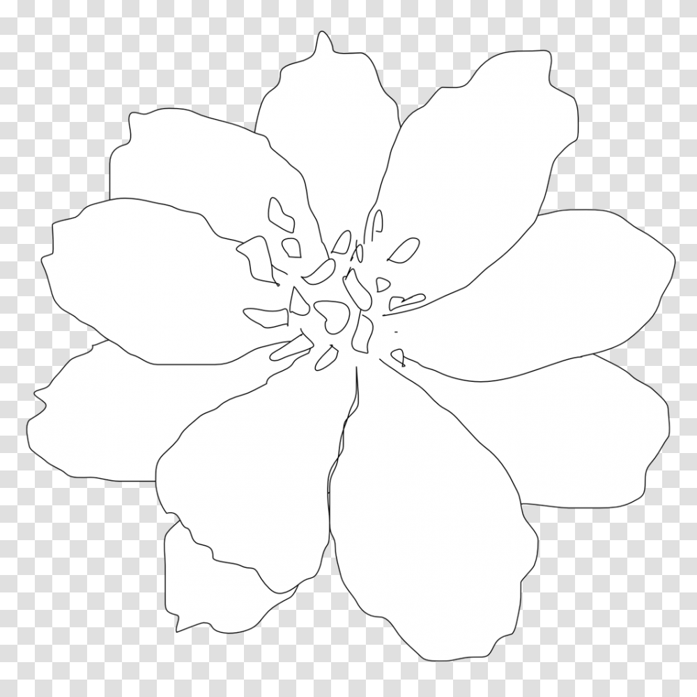 Line Tattoo Flower Clematis, Petal, Plant, Blossom, Dahlia Transparent Png