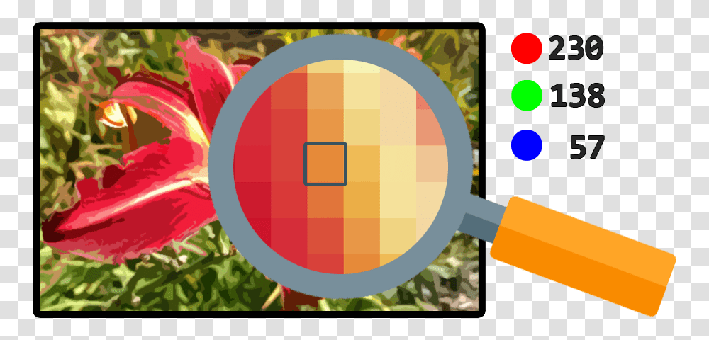 Linear Algebra And Digital Image Processing Circle, Plant, Magnifying, Road Sign Transparent Png