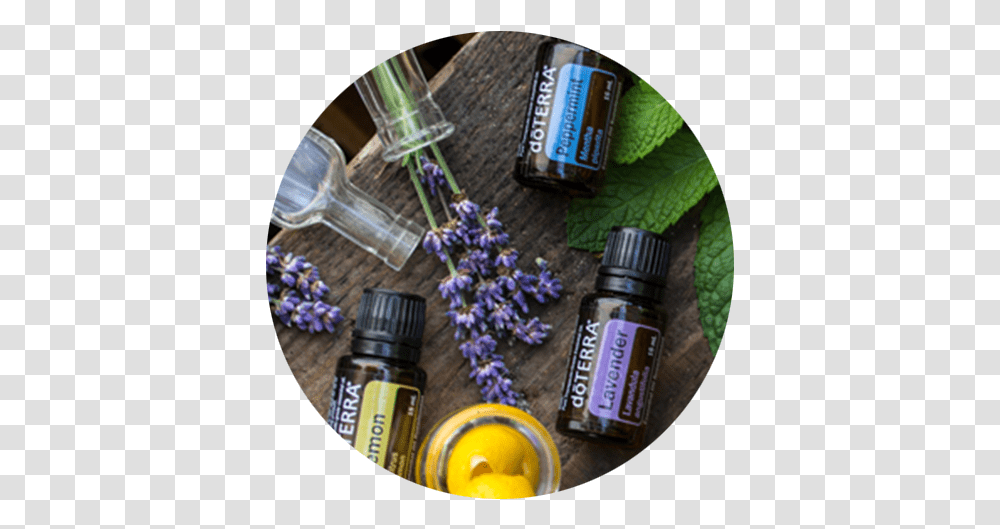 Lineup - Space Spa Healthy Can Be Simple Doterra, Plant, Flower, Blossom, Lavender Transparent Png