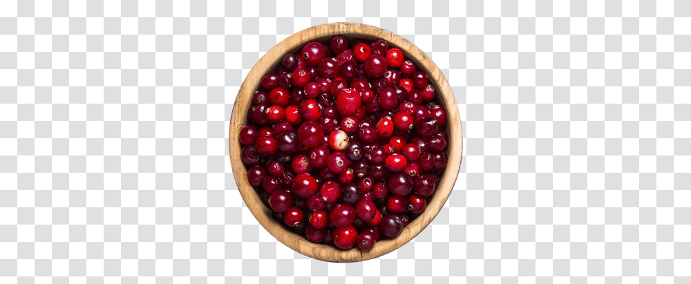 Lingonberry, Plant, Fruit, Food, Cherry Transparent Png