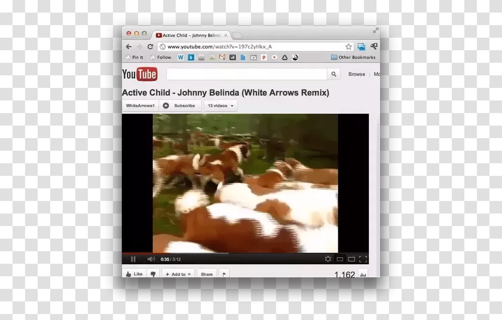 Link Of A Youtube Video To Language, Cow, Animal, Electronics, Monitor Transparent Png