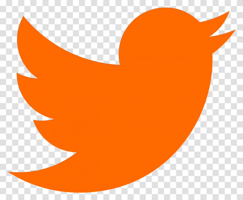 Linkedin Twitter Instagram Orange Intense Toned Twitter Logo 2020, Shark, Sea Life, Fish, Animal Transparent Png