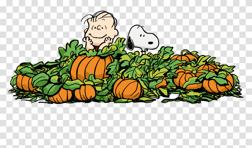 Linus And Snoopy Awaiting The Arrival Of The Great Pumpkinbeen, Lion, Plant, Vegetation, Label Transparent Png