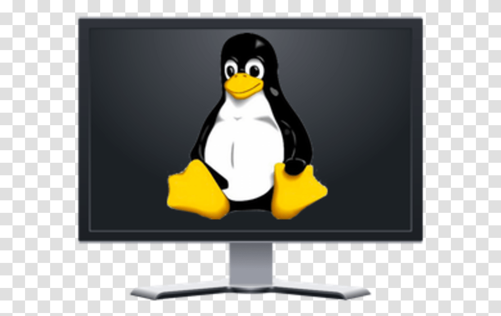 Linus Does Linux Computers, Monitor, Screen, Electronics, Display Transparent Png