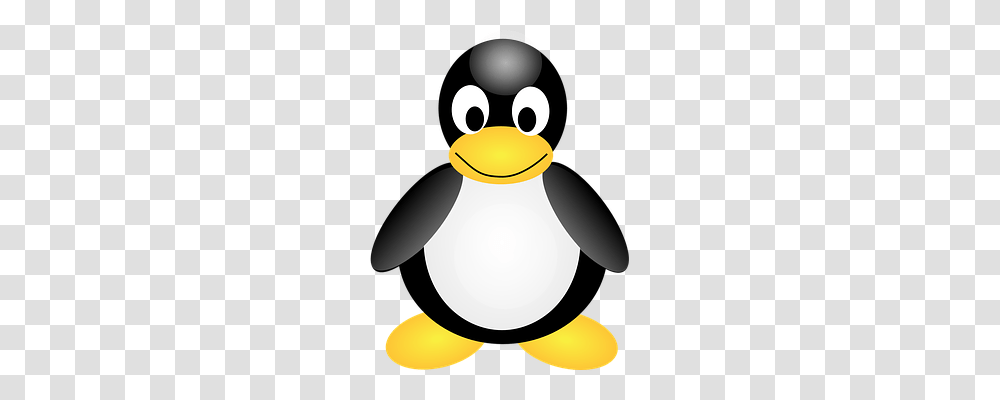 Linux Animals, Lamp, Bird, Penguin Transparent Png