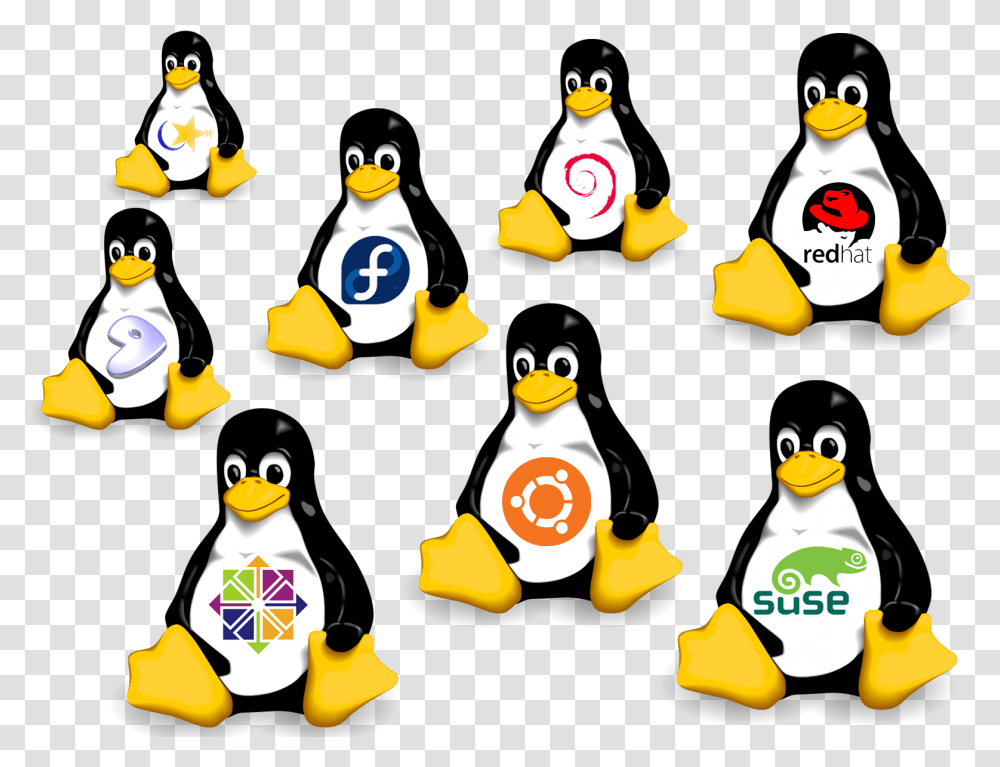 Linux Archives Linux Distributions, Outdoors, Penguin, Bird, Animal Transparent Png