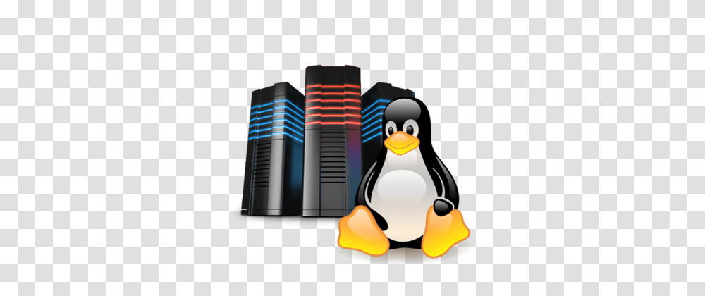 Linux Hosting Clipart, Bird, Animal, Penguin, Snowman Transparent Png