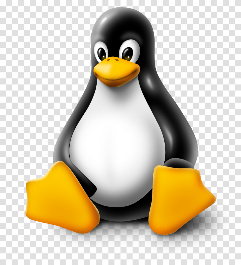 Linux Hosting Clipart Look, Penguin, Bird, Animal, King Penguin Transparent Png