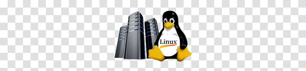 Linux Hosting, Electronics, Penguin, Bird, Animal Transparent Png