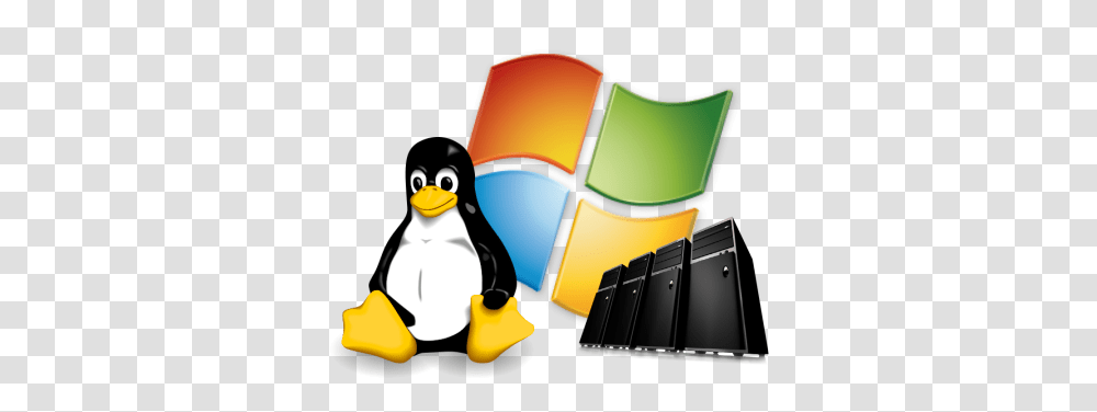 Linux Hosting Images, Bird, Animal, Penguin Transparent Png