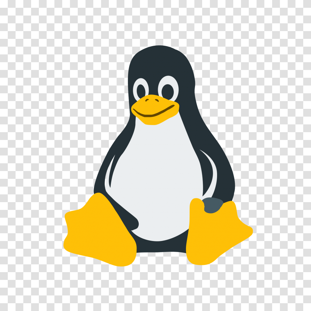 Linux Icon, Bird, Animal, Penguin, Snowman Transparent Png