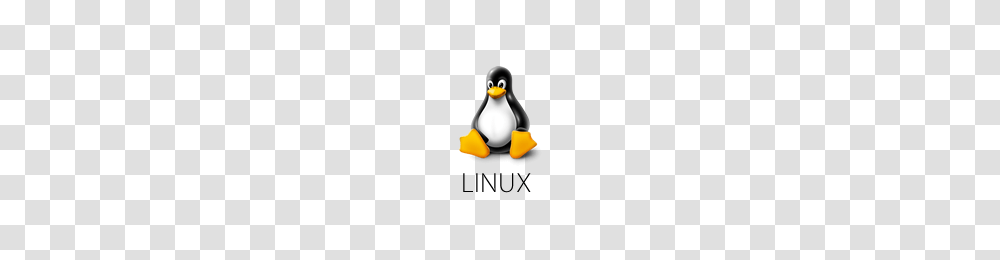 Linux Icons, Penguin, Bird, Animal, King Penguin Transparent Png