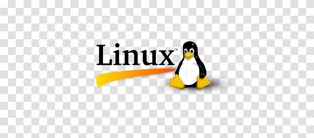 Linux Images Pictures Photos Arts, Penguin, Bird, Animal Transparent Png