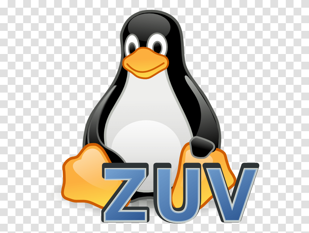 Linux Logo Flat, Bird, Animal, Penguin, King Penguin Transparent Png