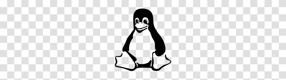 Linux Logo Free Download, Stencil, Animal, Penguin, Bird Transparent Png