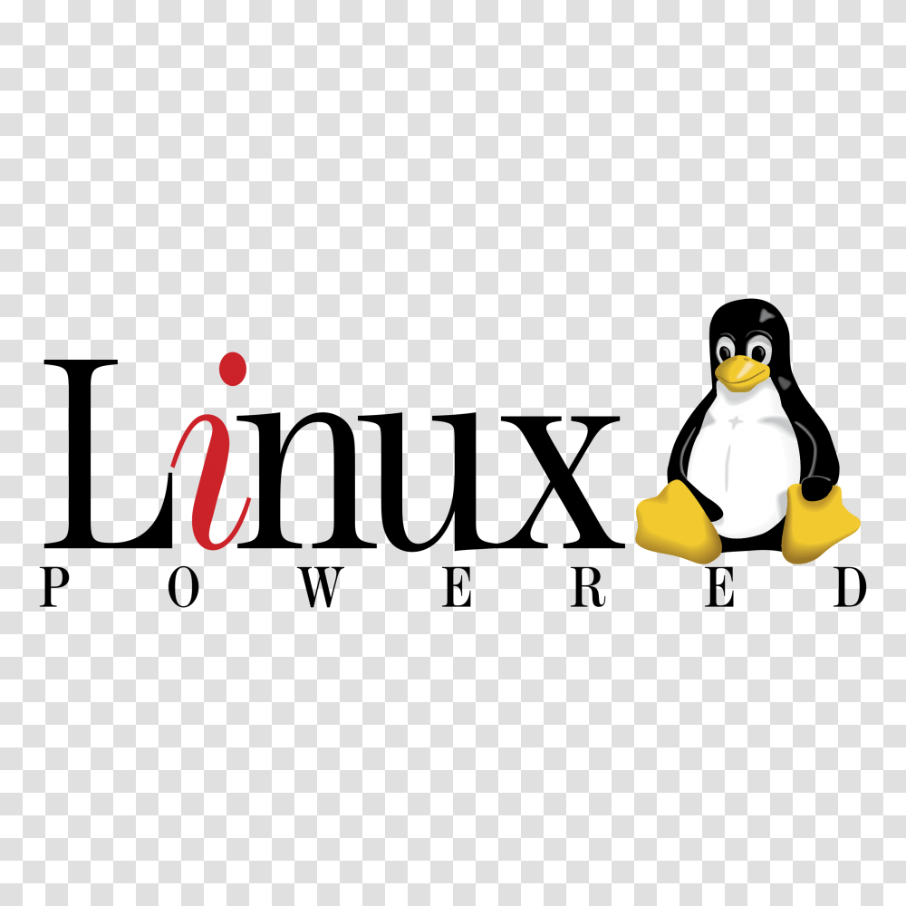 Linux Logo Vector, Animal, Snowman, Outdoors, Nature Transparent Png