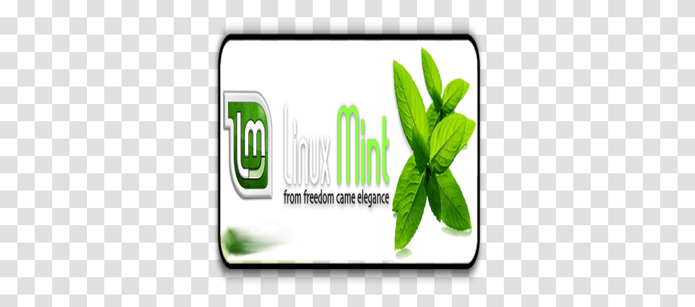 Linux Mint Logo Opendesktoporg Vertical, Potted Plant, Vase, Jar, Pottery Transparent Png