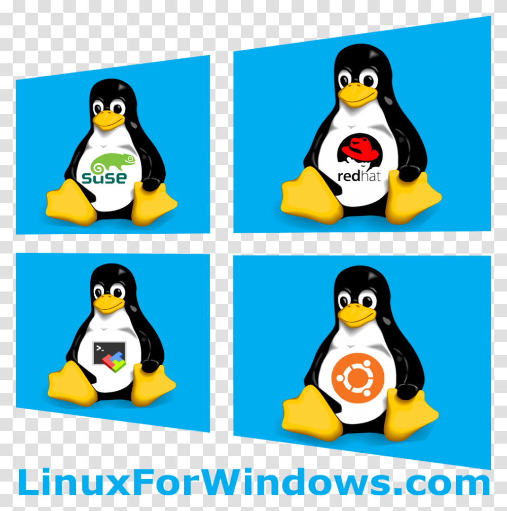 Linux, Penguin, Bird, Word Transparent Png