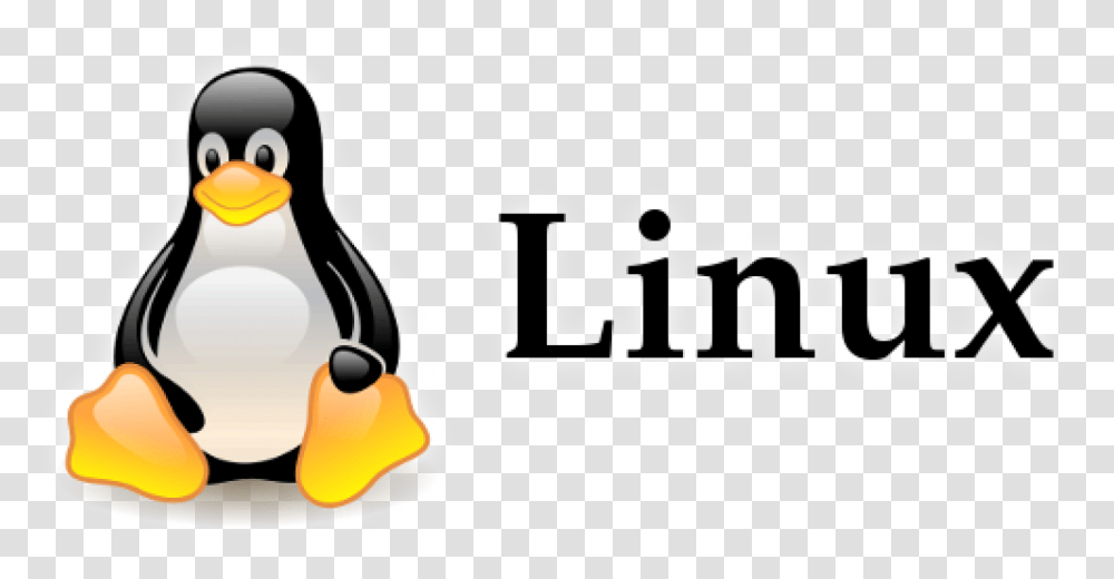 Linux Penguin Logo Linux Logo Background, Label, Fire Transparent Png