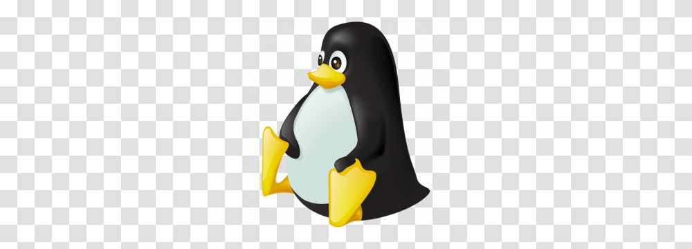 Linux Picture Web Icons, Penguin, Bird, Animal, King Penguin Transparent Png