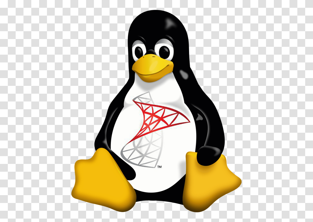 Linux Tux, Bird, Animal, Penguin, Photography Transparent Png