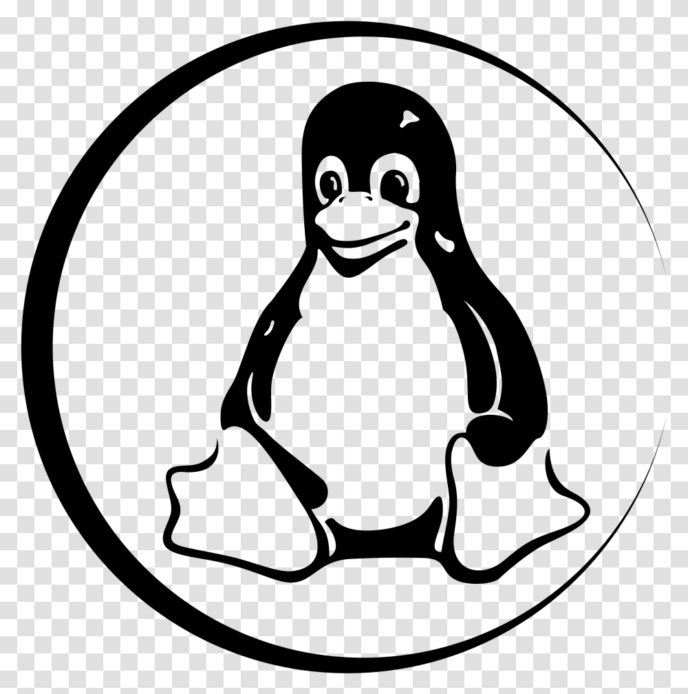 Linux Tux Logo Linux Vector, Gray, World Of Warcraft Transparent Png