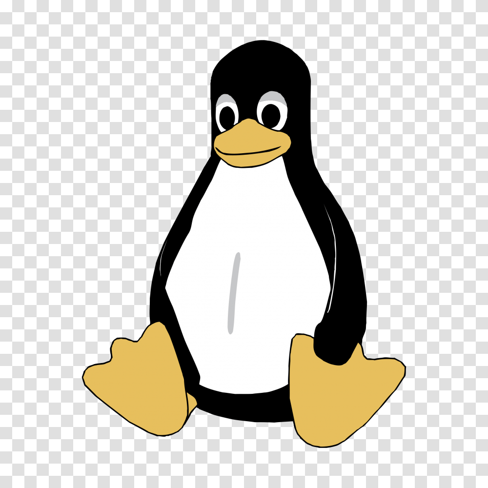 Linux Tux Logo Vector, Label, Penguin, Bird Transparent Png