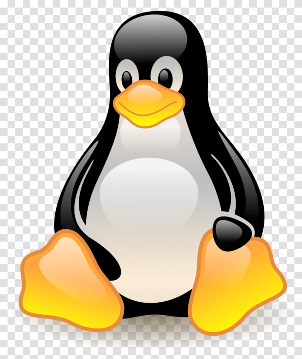 Linuxtuxlarryewing Tux Logo, Animal, Bird, Penguin, Birthday Cake Transparent Png