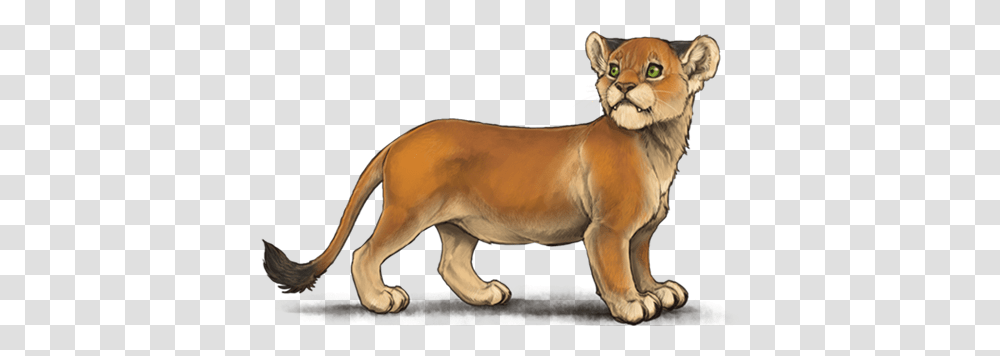 Lioden Dwarf Lion, Wildlife, Animal, Mammal, Dog Transparent Png