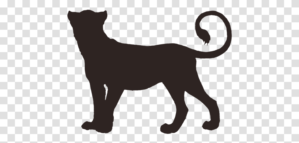 Lioden Onyx Base, Mammal, Animal, Horse, Silhouette Transparent Png