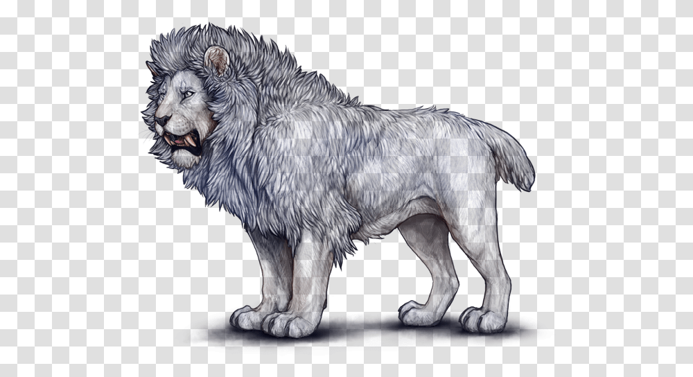 Lioden Primal Base, Wolf, Mammal, Animal, Dog Transparent Png