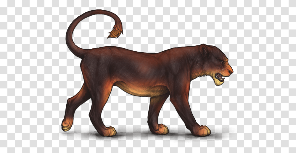 Lioden Sunset Base, Animal, Mammal, Dog, Pet Transparent Png