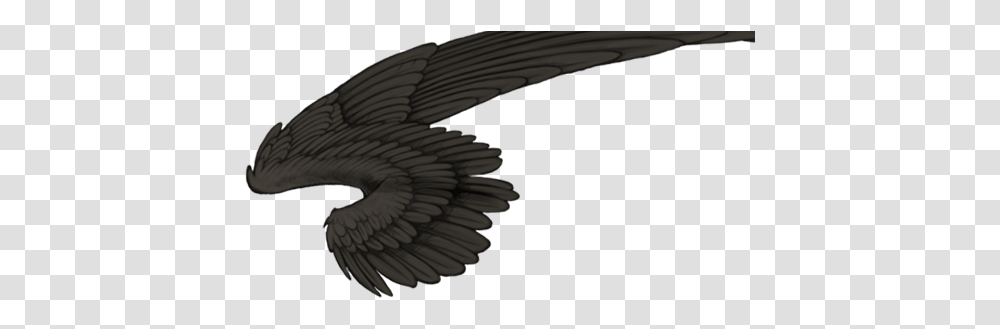 Lioden Wings Of Death, Fish, Animal, Flying Transparent Png