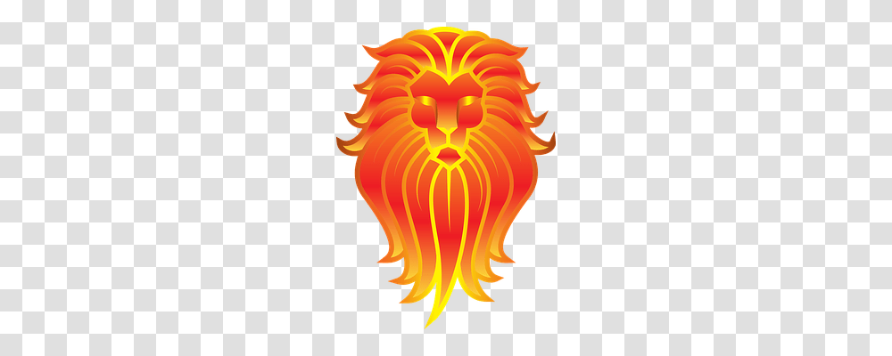 Lion Animals, Fire, Flame, Pattern Transparent Png