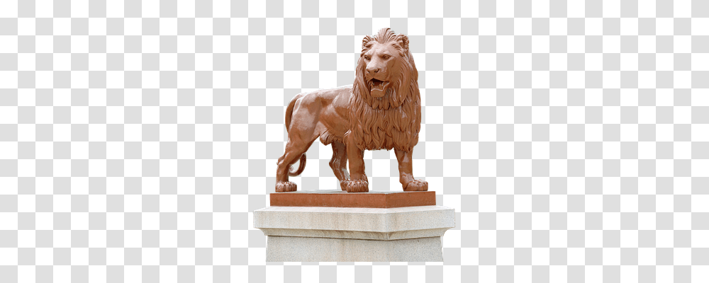 Lion Wildlife, Mammal, Animal, Pet Transparent Png