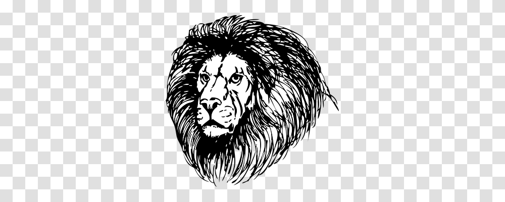 Lion Nature, Mammal, Animal, Tiger Transparent Png