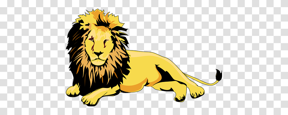 Lion Nature, Wildlife, Animal, Mammal Transparent Png