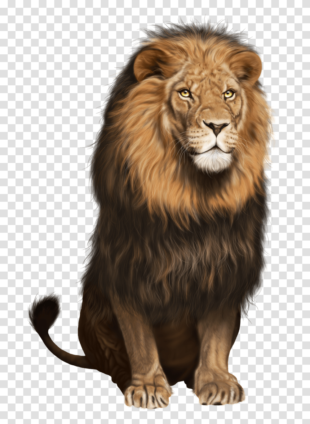 Lion, Animals, Dog, Pet, Canine Transparent Png