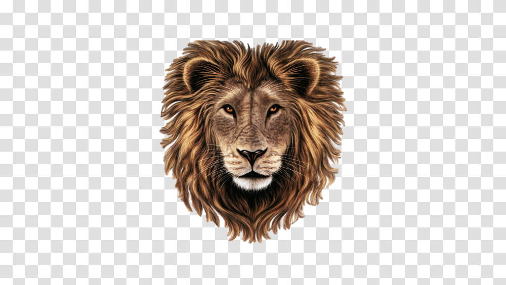 Lion, Animals, Wildlife, Mammal, Dog Transparent Png