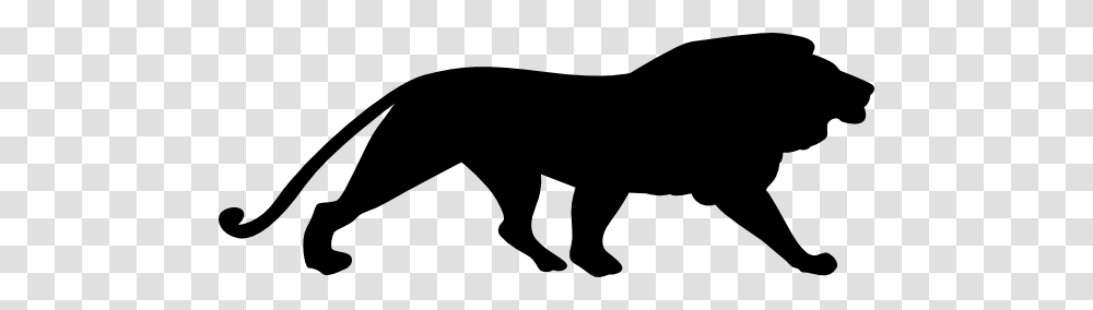 Lion Bigger Clip Arts For Web, Mammal, Animal, Panther, Wildlife Transparent Png