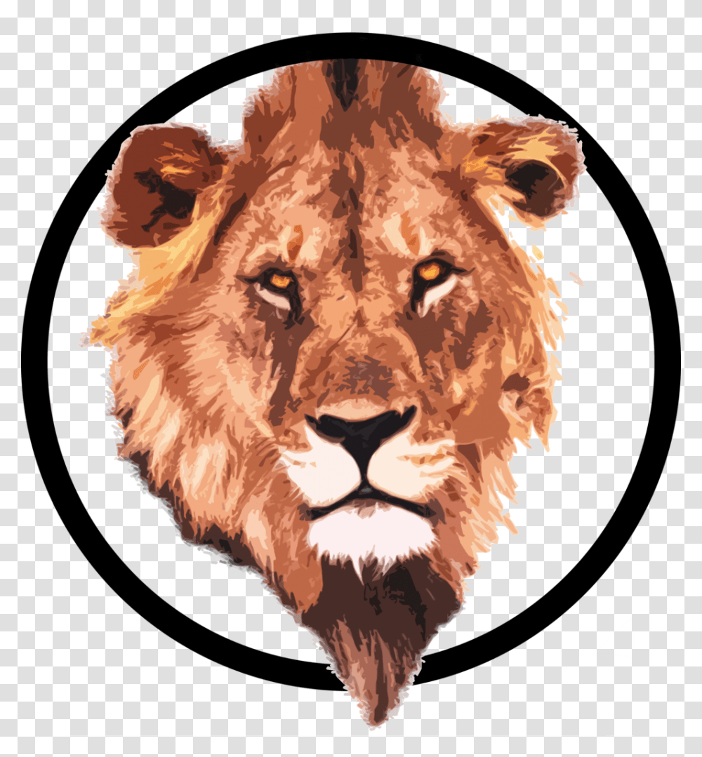 Lion Circle, Chicken, Poultry, Fowl, Bird Transparent Png