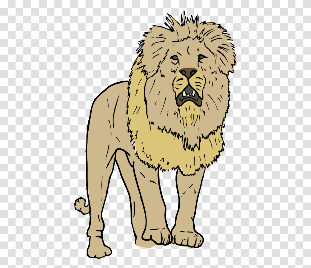 Lion Clip Art, Mammal, Animal, Wildlife, Tiger Transparent Png