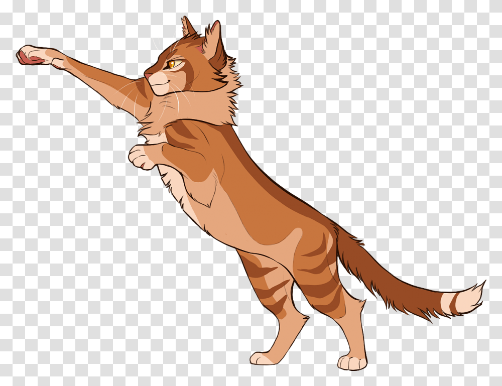 Lion Clip Cat, Animal, Mammal, Person, Human Transparent Png