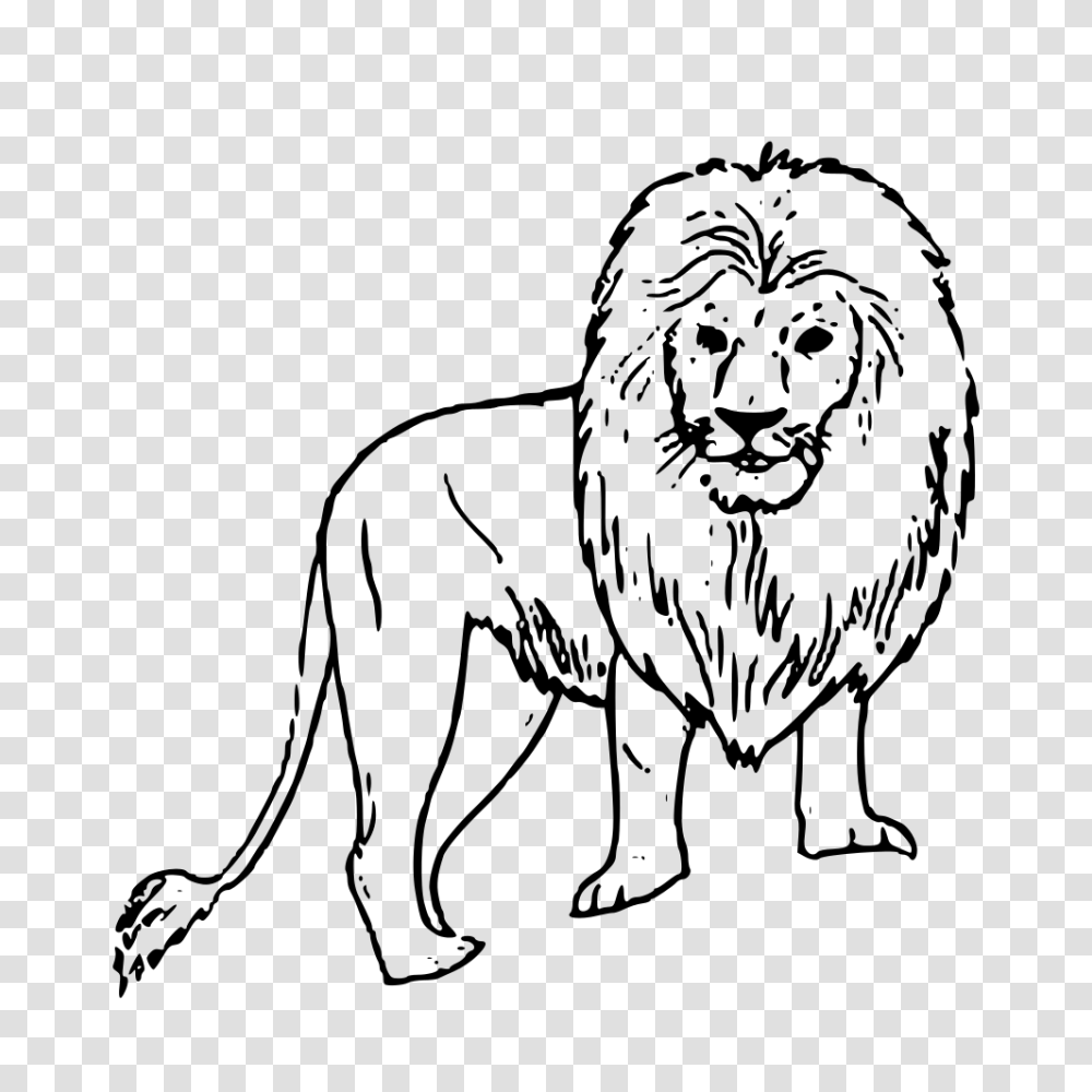 Lion Clipart, Gray, World Of Warcraft Transparent Png