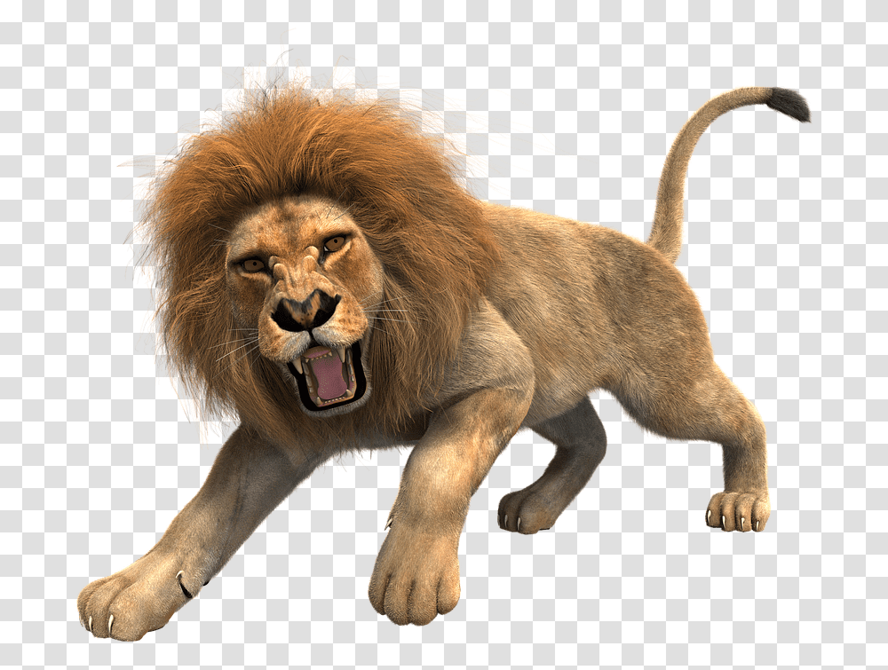 Lion Clipart Roaring Lion Background, Wildlife, Mammal, Animal, Dog Transparent Png