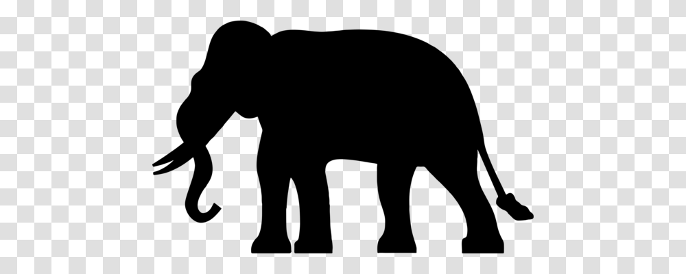 Lion Elephantidae Jungle Cuteness Computer Icons, Gray, World Of Warcraft Transparent Png