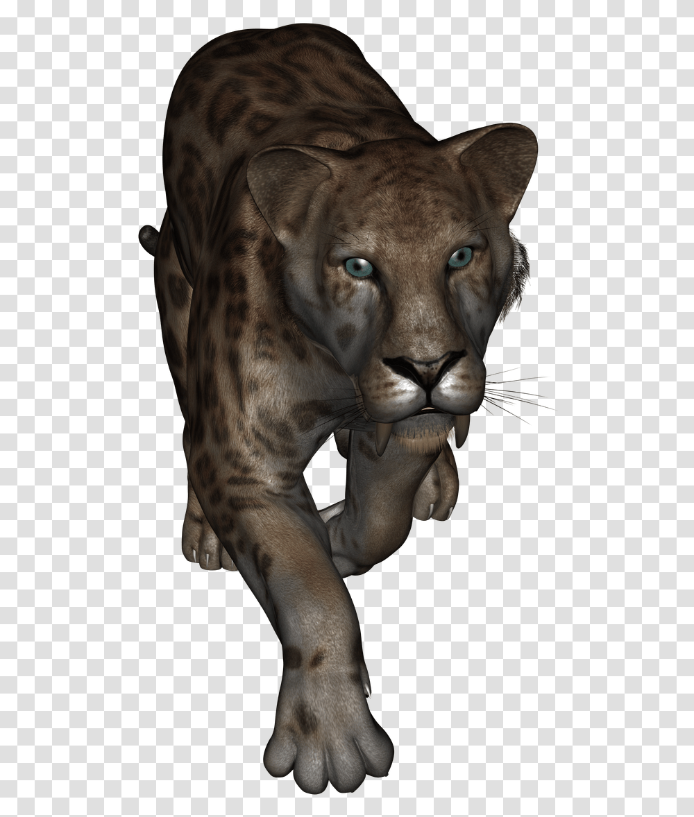 Lion Hd, Wildlife, Animal, Mammal, Dog Transparent Png