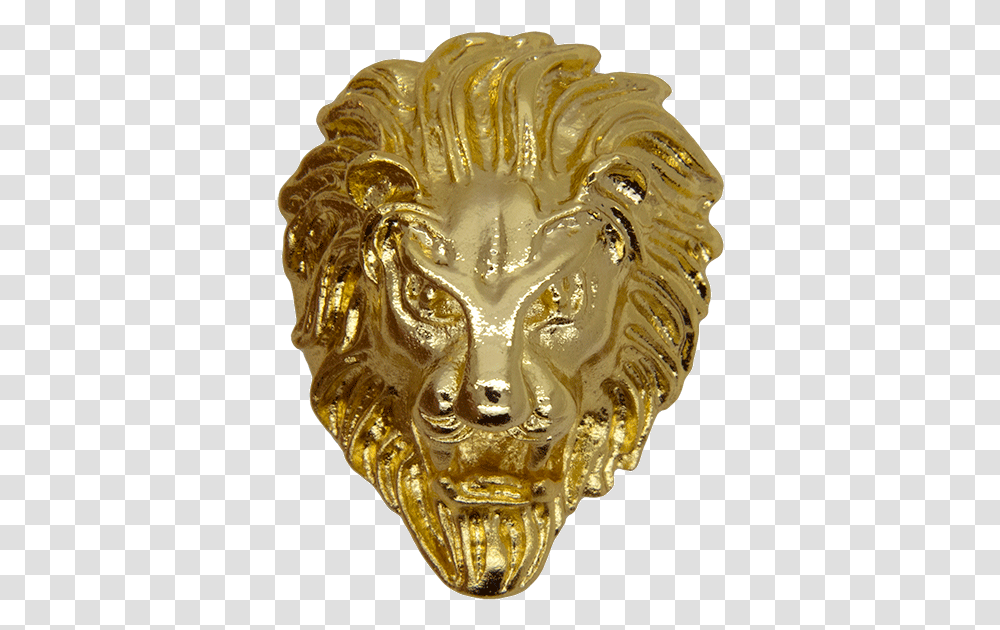 Lion Head Gold, Bronze, Ornament, Jewelry, Accessories Transparent Png